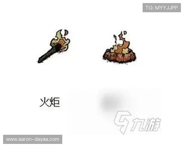 尊龙凯时九游娱乐正规官网平台操作指南，帮助新手快速熟悉游戏流程