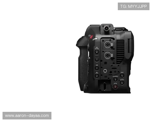 尊龙手机官方客户端下载，安全无病毒保障，快速安装使用便捷，提供丰富的功能和优质服务