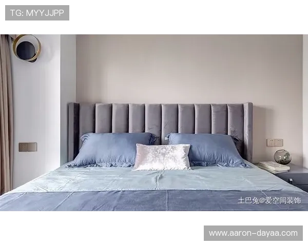 Z6平台的全面介绍与核心功能解析